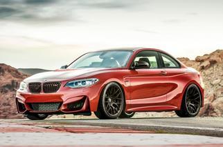   M2 coupe (F87) 2015-2018